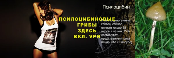 COCAINE Алексеевка