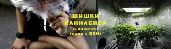 молекула духа Алзамай