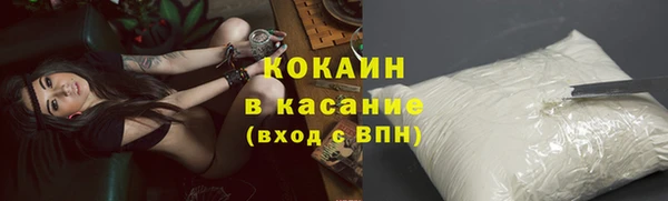 дживик Алексин